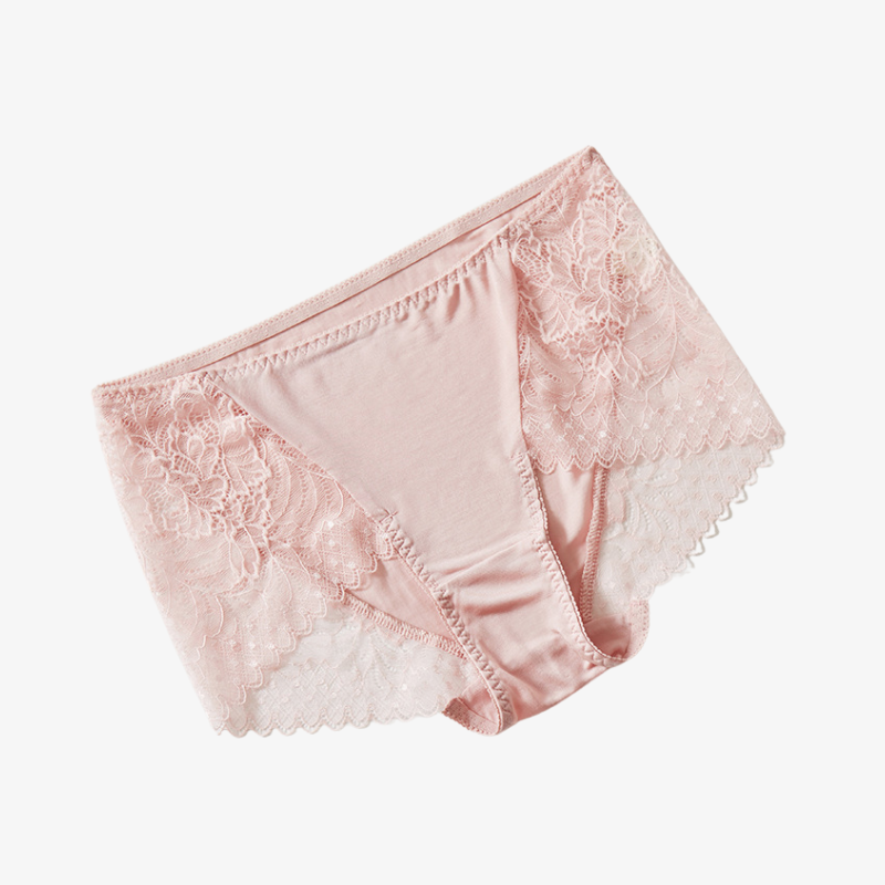 Silk Lace Sheer Panties