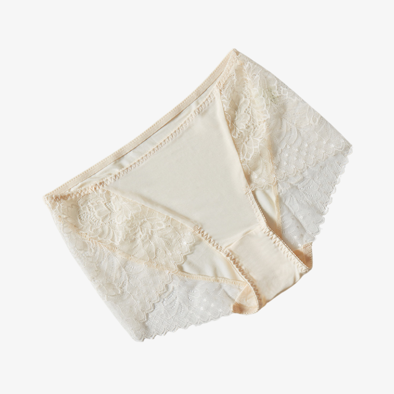 Silk Lace Sheer Panties