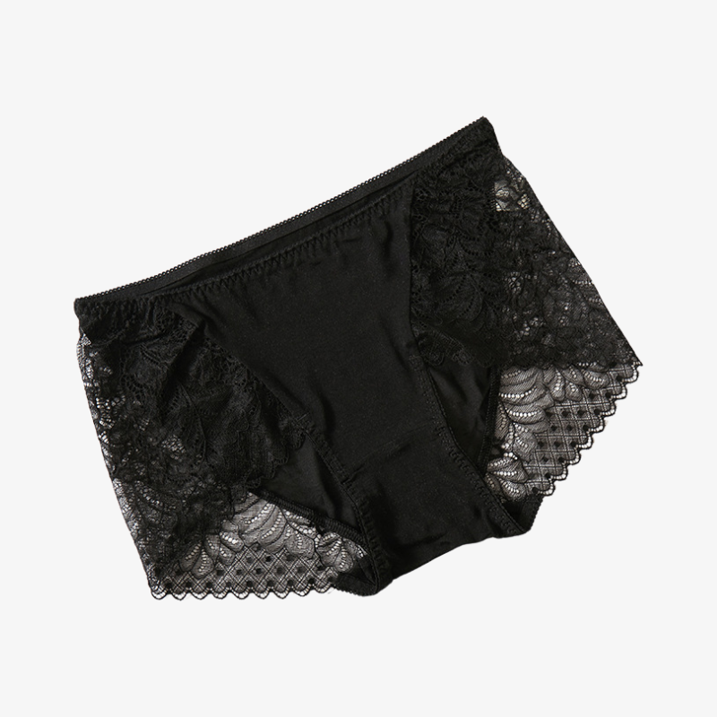 Silk Lace Sheer Panties