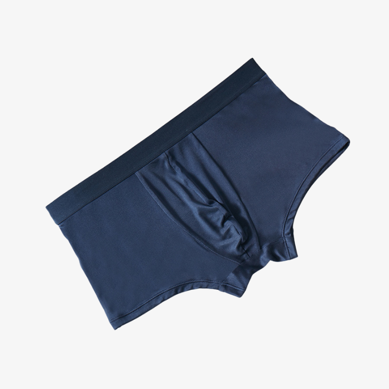 Men’s Seamless Breathable Mulberry Silk Underwear