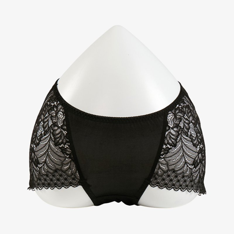 Silk Lace Sheer Panties