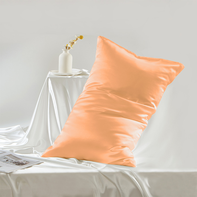 19 Momme 100% Mulberry Silk Double-Sided Pillowcase