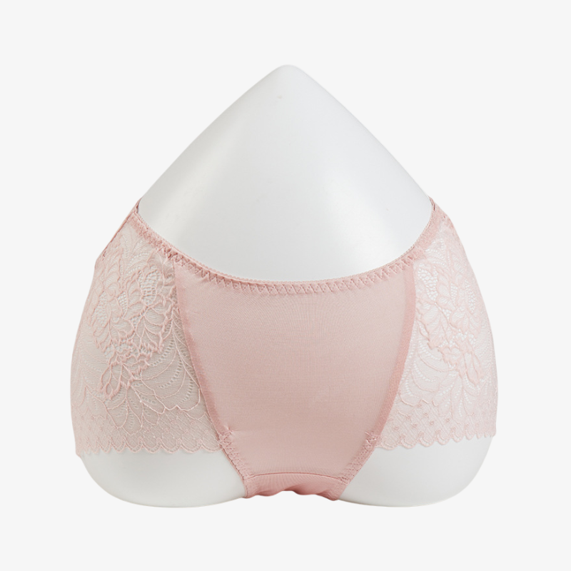 Silk Lace Sheer Panties