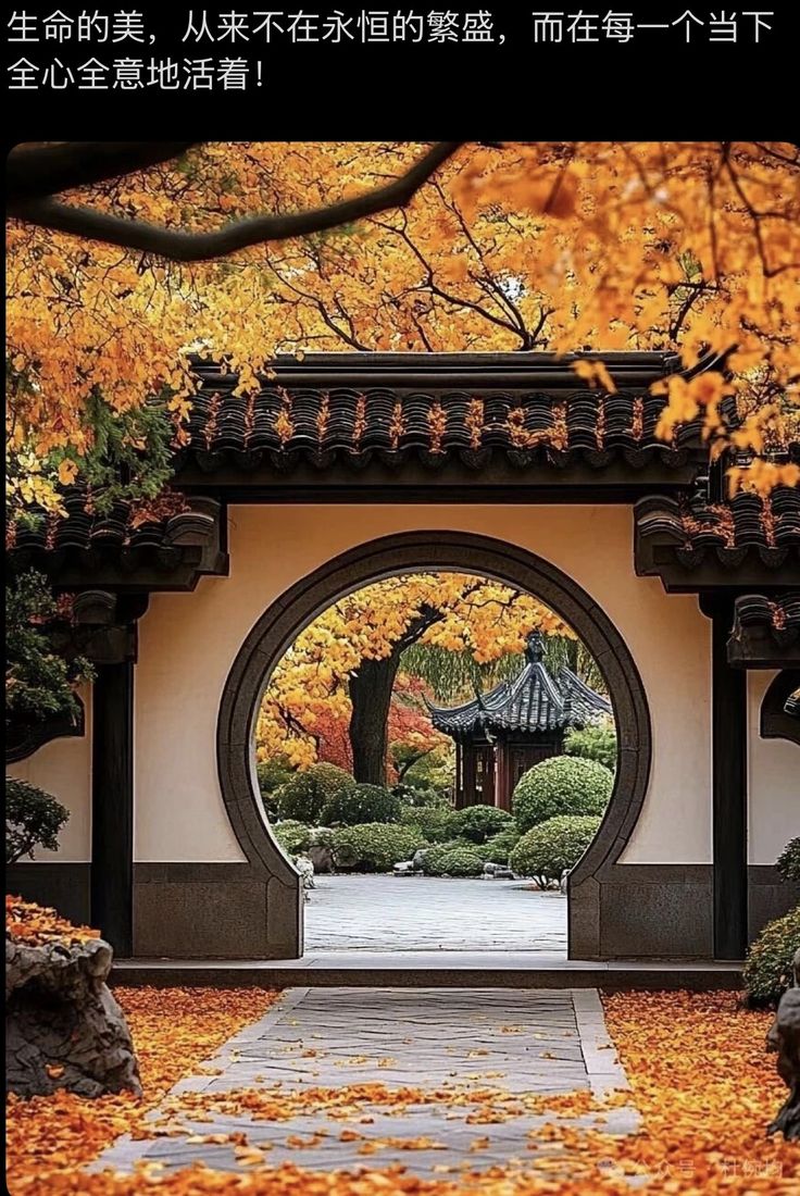 8-Day Suzhou Intangible Cultural Heritage Tour