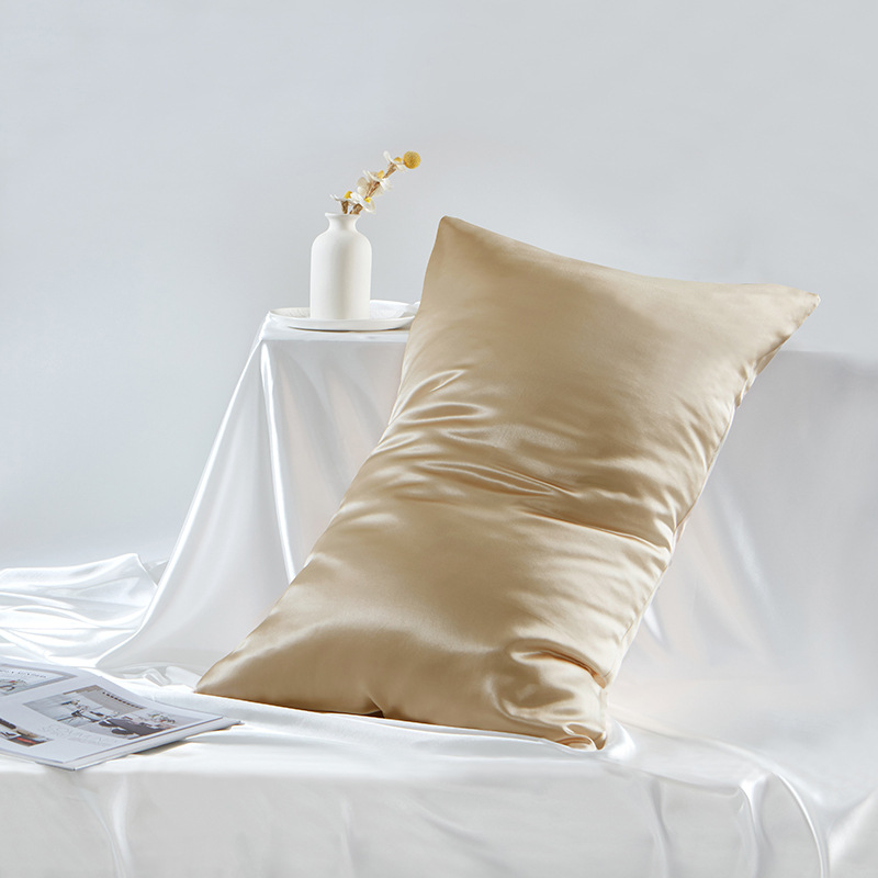 19 Momme 100% Mulberry Silk Double-Sided Pillowcase
