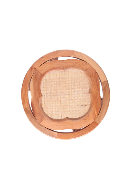 Begonia Round Table  (Big)