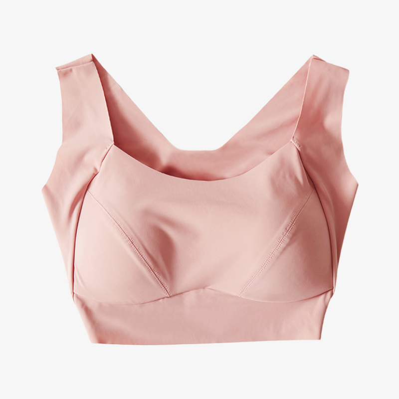 Silk Seamless Sports Bra